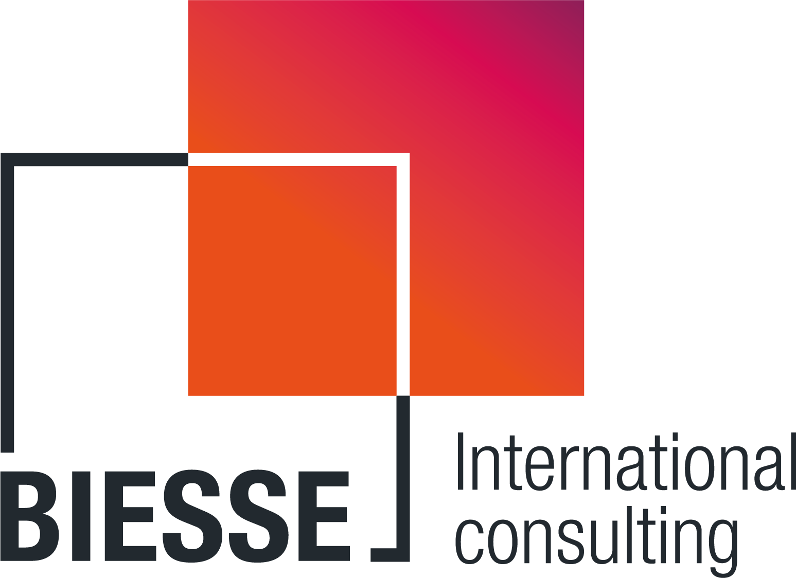 BIESSE International Consulting